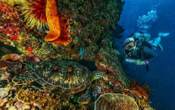 驚豔《甄嬛傳》,但10年來未能爆紅的7位女演員,一個比一個可惜 驚豔《甄嬛傳》,但10年來未能爆紅的7位女演員,一個比一個可惜