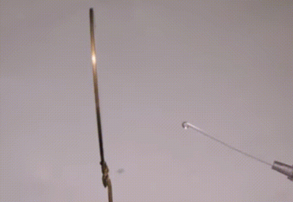 8個專案4個有水!水在太空多神奇,王亞平空間站授課離不開它? 8個專案4個有水!水在太空多神奇,王亞平空間站授課離不開它?