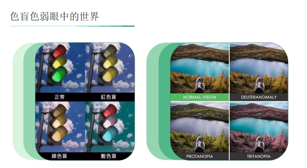 關注色弱患者！OPPO推出“千人千屏”技術，從螢幕上找根治方案