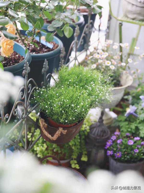 5平米的陽臺，改造之後種滿了花，居然可以美成這樣