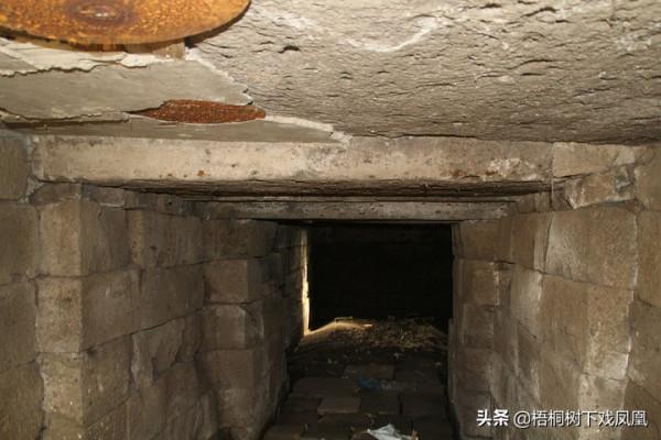 中國黑龍江發現一墓，內有10餘具人骨，韓國人上心日本人關注