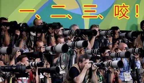 愛咬“金”的,不一定姓程 愛咬“金”的,不一定姓程