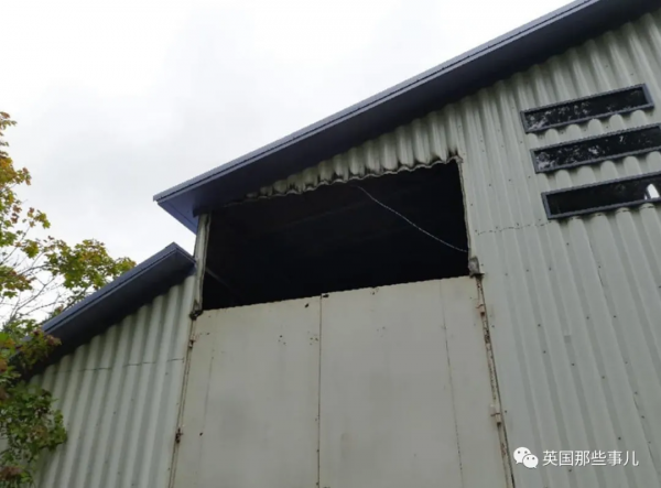 一群人死後將自己冷凍起來等待復活!結果屍體在光天化日被劫走 一群人死後將自己冷凍起來等待復活!結果屍體在光天化日被劫走