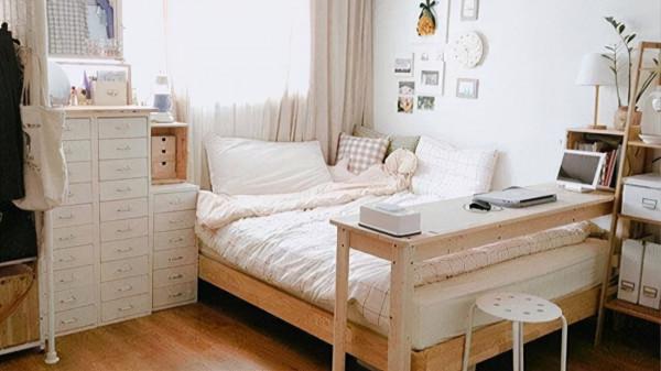 租房收納神器：7件好物租房黨必備，不怕東西堆不下！你有幾件？