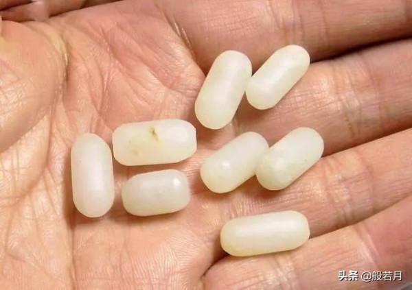 這些盆栽要是家裡能有一盆，賊有面子