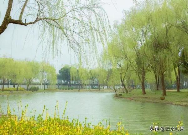 十首流傳久遠的經典古詩詞，對比鮮明，技法高超，值得欣賞和收藏