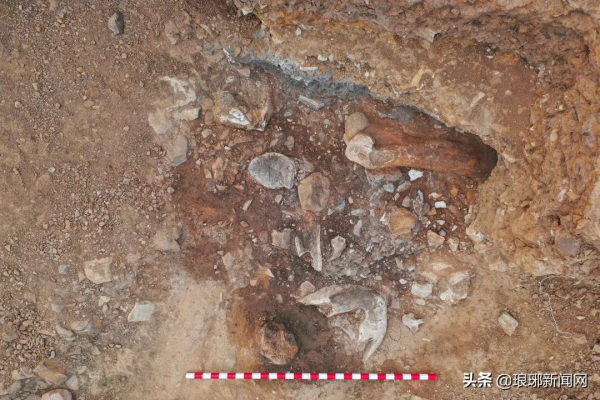 臨沂，重大發現！距今9.9萬年！在世界範圍內也極為罕見