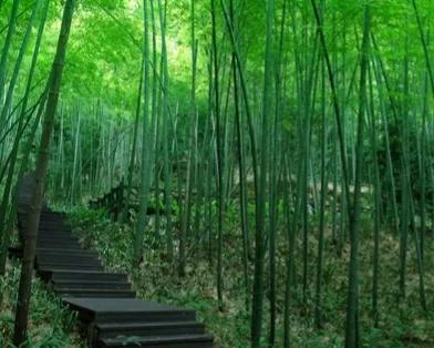 孤獨，是一種境界