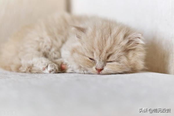 通貨膨脹到底是好事還是壞事？一文說明白通貨膨脹