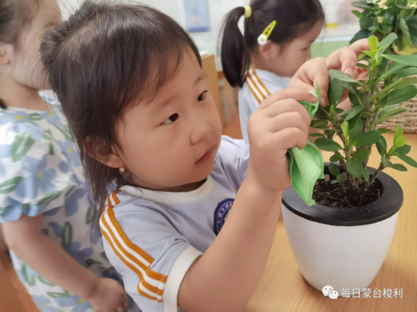 想要孩子情商高?脾氣好?不要錯過情感培養關鍵期 想要孩子情商高?脾氣好?不要錯過情感培養關鍵期