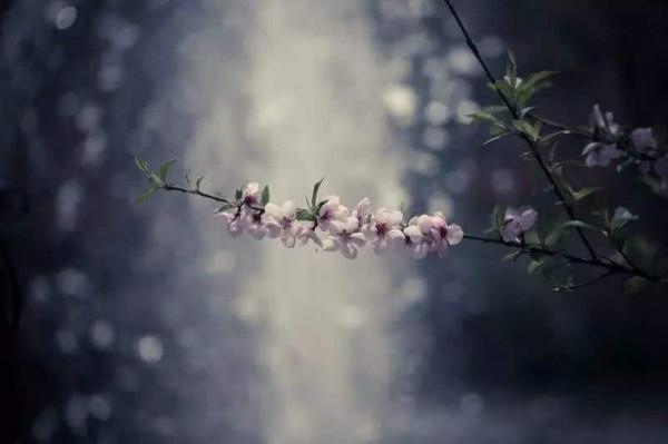 前方總有美好等著你