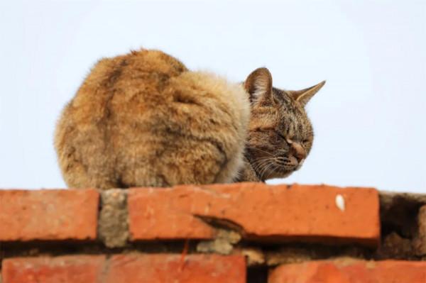 10句話，一些柔軟的力量