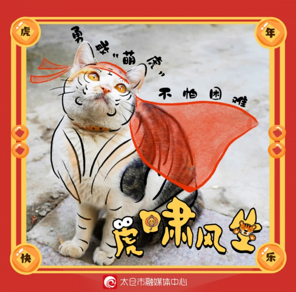 喵~太倉&OpenCurlyDoubleQuote;萌虎&rdquo;有話說