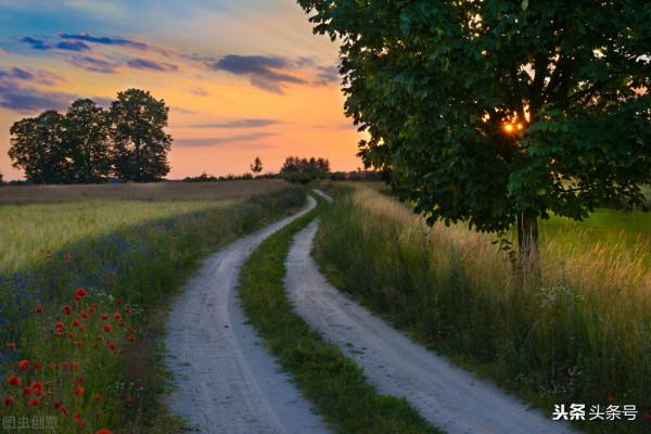 要堅定地走自己的路 要堅定地走自己的路