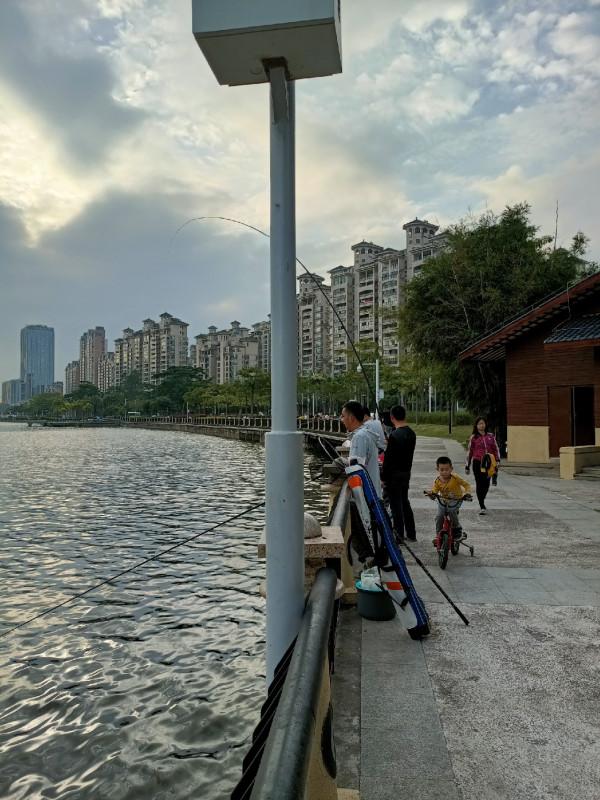 「雙11」半下午,一家人,一份餌,三條魚,盡享親子垂釣之樂… 「雙11」半下午,一家人,一份餌,三條魚,盡享親子垂釣之樂…