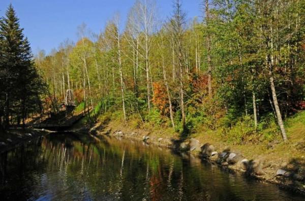 什麼才是原始森林?看看長白山深處的樣子,你會豁然開朗 什麼才是原始森林?看看長白山深處的樣子,你會豁然開朗