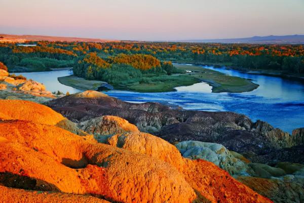 秋天的新疆，美成了桌布