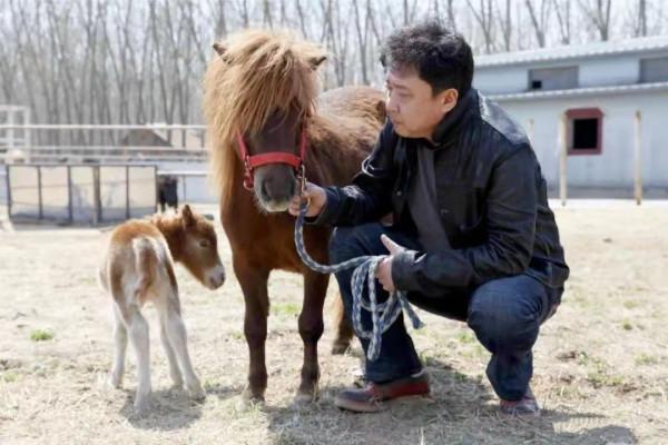 給郭德綱捧哏18年，于謙為何拒絕德雲社的股份？