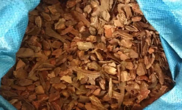 這&OpenCurlyDoubleQuote;三廢渣&rdquo;是養花寶，墊在盆底，提高肥力，根系還不易&OpenCurlyDoubleQuote;凍傷&rdquo;