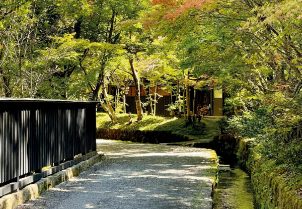 上過熱搜、28歲財務自由的程式設計師郭宇，退休後這一年他更自由了嗎