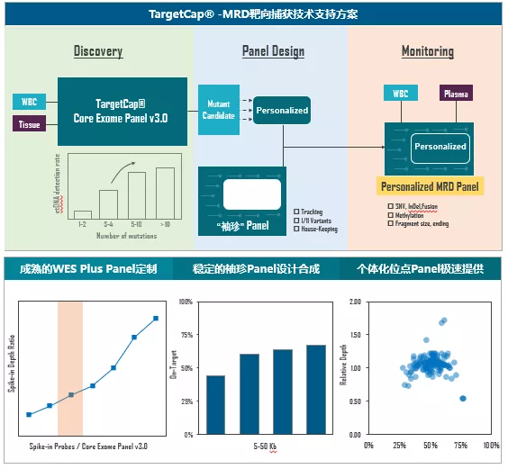 伯科高品質DNA合成技術實現多平臺靶向測序應用的領先水平 伯科高品質DNA合成技術實現多平臺靶向測序應用的領先水平