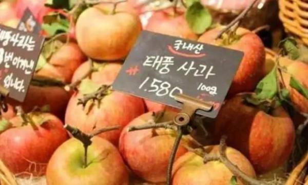 82張照片看最真實的韓國，人均GDP這麼高，真的很繁榮嗎？