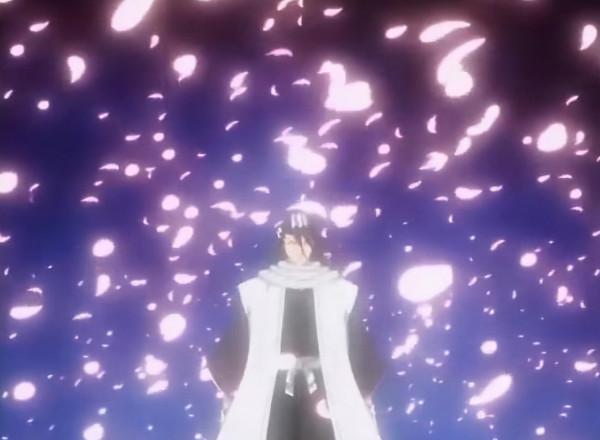 傲嬌的護妹狂魔——朽木白哉