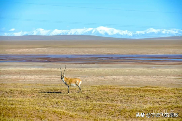 美國黃石的13倍！我國首批國家公園正式官宣，驚豔世界的風景來了