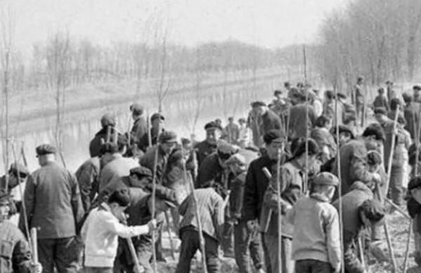 天津1981年的21張照片