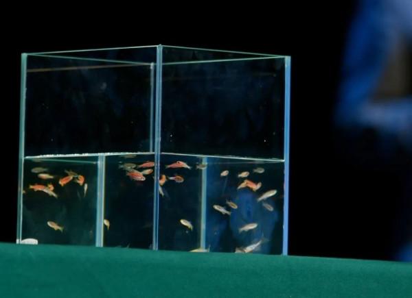 生物鐘是玄學?不!它暗戳戳影響著你的代謝,衰老,生殖,抑鬱,腫瘤…… 生物鐘是玄學?不!它暗戳戳影響著你的代謝,衰老,生殖,抑鬱,腫瘤……