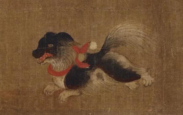 一個裝修銷售小姐姐，成為了我親如一家的好妹子