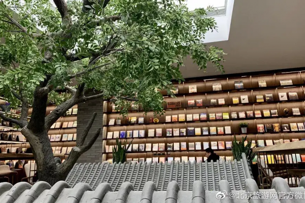 京城清新風書店推薦，書香文藝治癒秋日疲倦