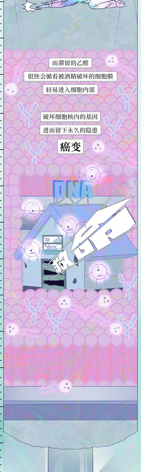 喝酒後24小時人體變化圖鑑