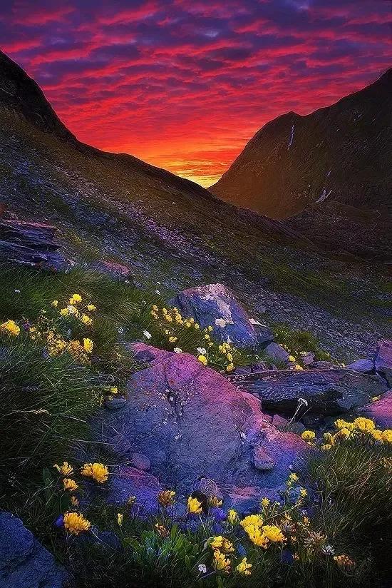 人間仙境美極了