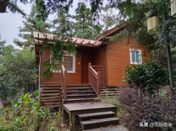 初冬，霞浦這片“楓”景不容錯過