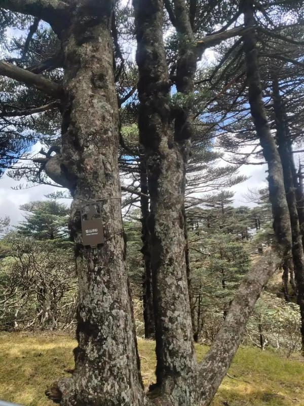 摩旅中國第八天