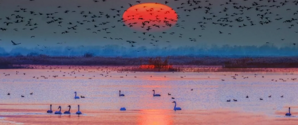 第一站,黃河入海口! 第一站,黃河入海口!