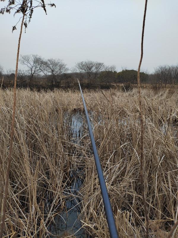這就是菜地的魅力，夠野、夠暴力