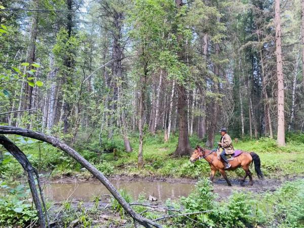 大美新疆-禾木 大美新疆-禾木