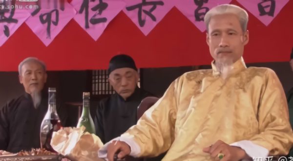 《大宅門》播出20年，男二63歲依然吃香，有人成“姨太太專業戶”