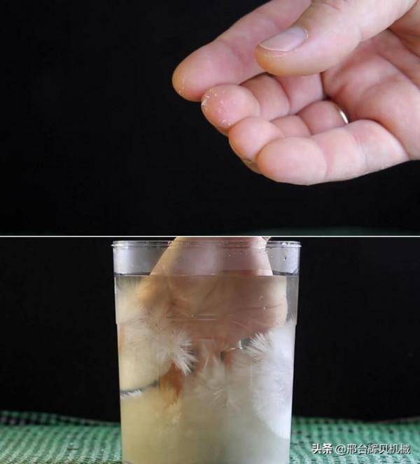 教您一款經濟實用的做包子的發麵技巧