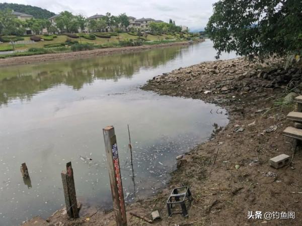 一遇退水就不釣魚了？告訴你一些實用的建議，肯定用得上