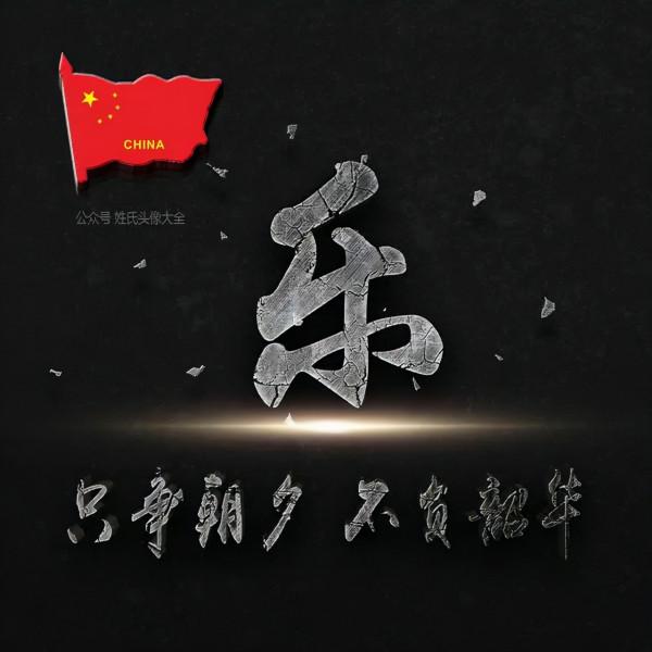 200張正能量姓氏頭像，張張精品，只爭朝夕 不負韶華