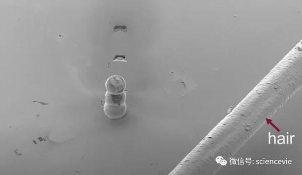 世界上最小的房子有多小？可以在頭髮上放10棟