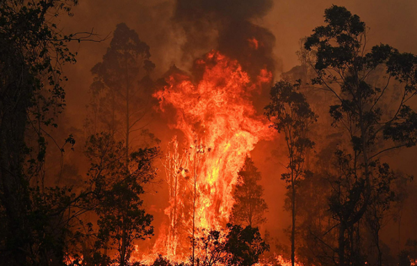 新疆大火持續燃燒129年，每年燒掉1&period;7億，如今撲滅成著名旅遊景點