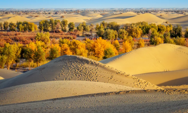 2021年，新疆非去不可，新疆怎麼玩，看完這一篇就夠了