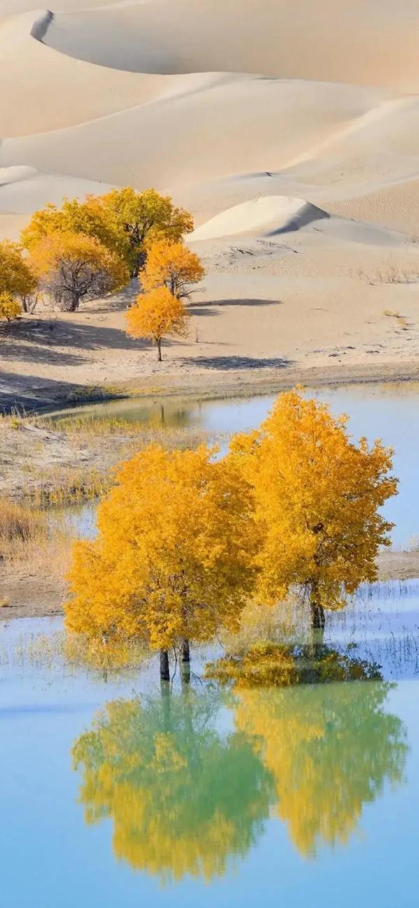 讓我們活得灑脫，笑得燦爛