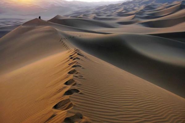 你想要來的新疆2022年是這樣的