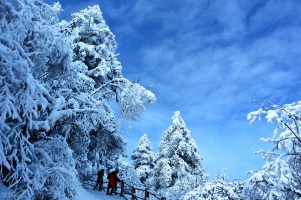 冬季到底哪裡最美？盤點這5個地方，讓你在寒冬也找到出行的樂趣