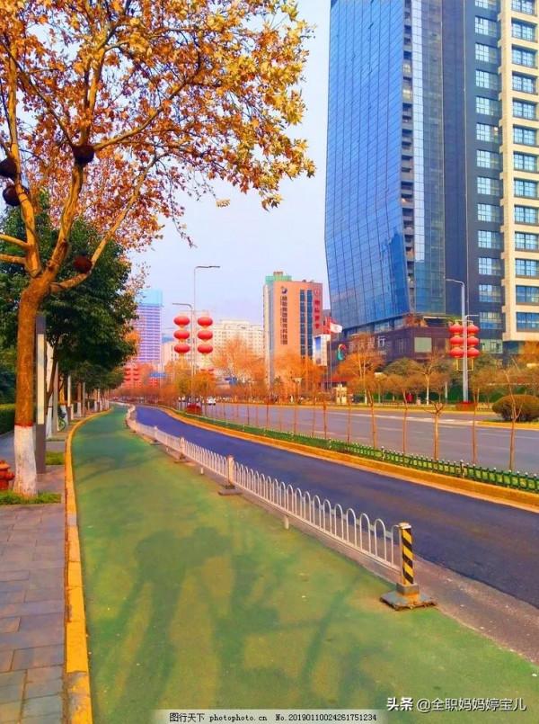 分享——美景小道